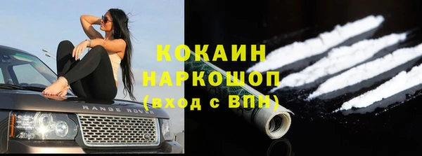 ешки Корсаков