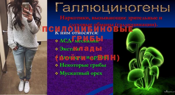 шишки Козельск