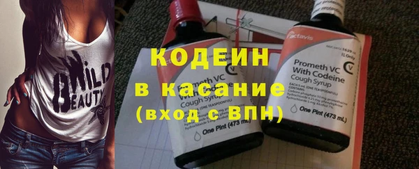 ешки Корсаков
