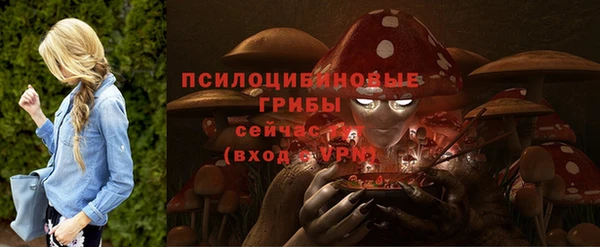 apvp Костерёво