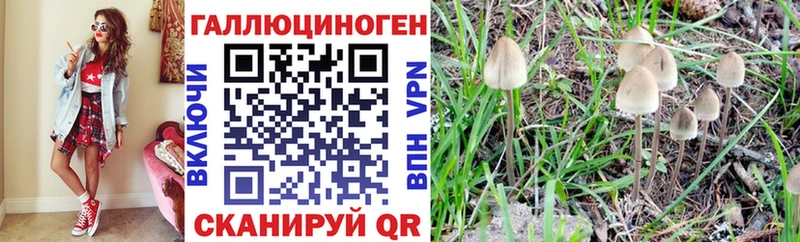 Псилоцибиновые грибы Psilocybine cubensis  Еманжелинск 